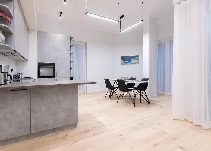 公寓 Dashaus 2 Bedroom 塔林