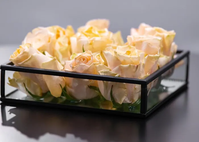 Dashaus 2 Bedroom Tallin