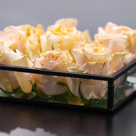 Dashaus 2 Bedroom Talin